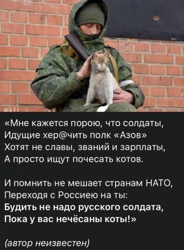 Так себе картинки 26.11.25
