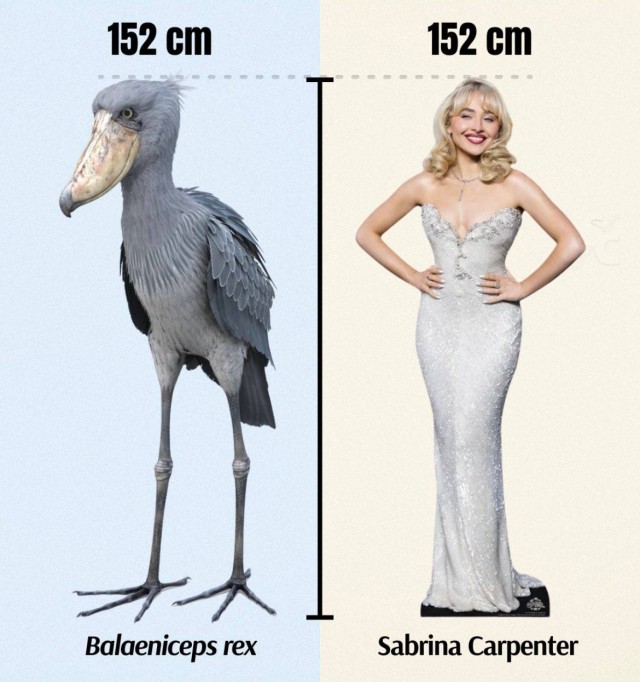 Маленькая пятница 24.12