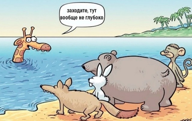 Грустный факт дня: жирафам из-за своего роста негде прятаться от непогоды