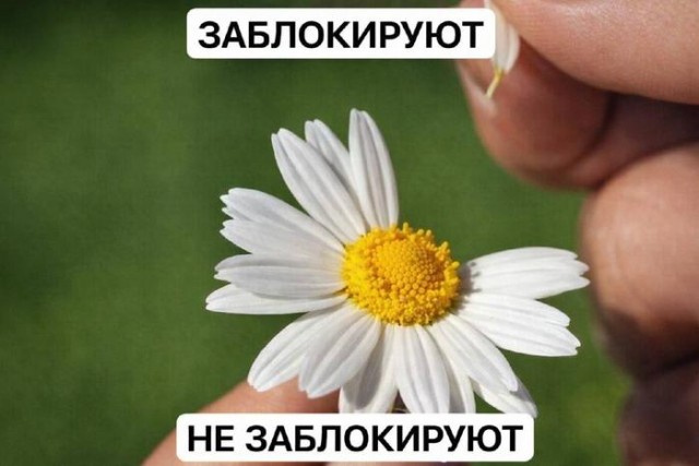 Картинки для деградации 171 (разной степени свежести)
