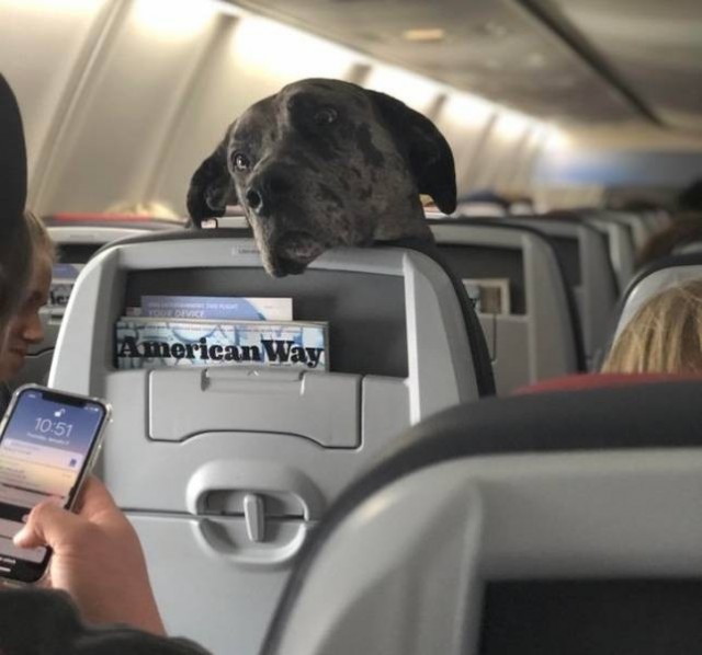 Забавные и интересные фото из Сети 23.04.26