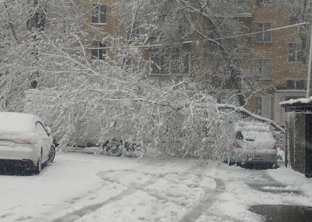 Утро в Москве
