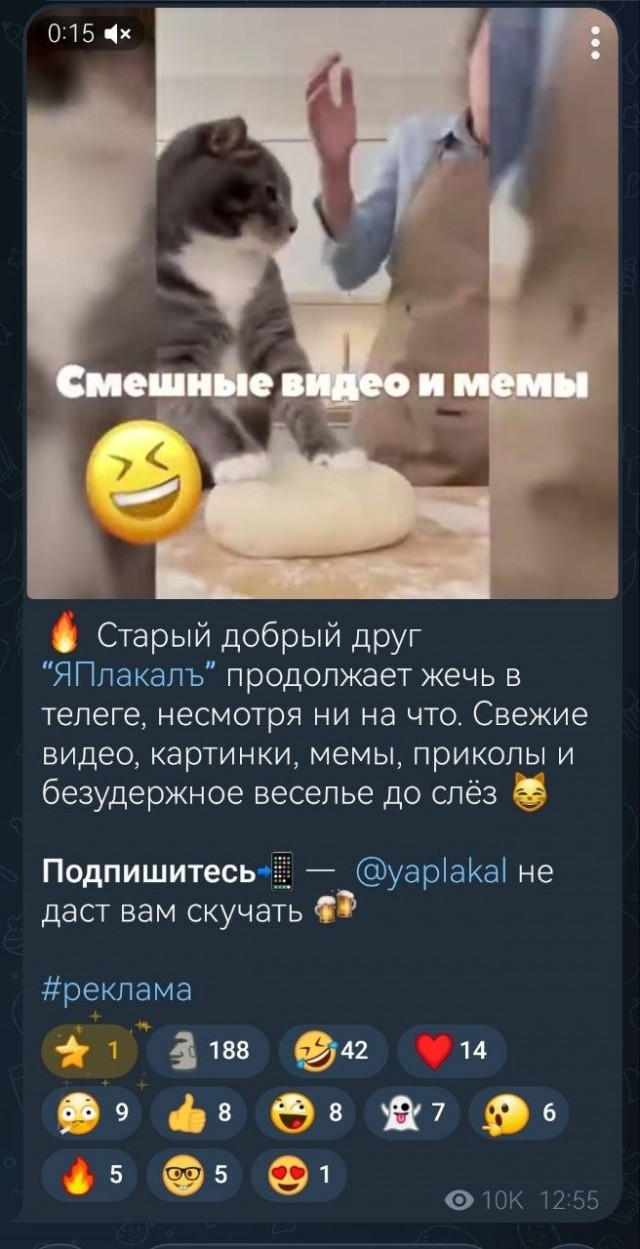 Попалась забавная реклама в Телеграм