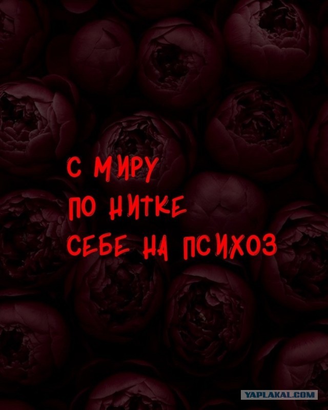 Картинки для деградации 299 (разной степени свежести)