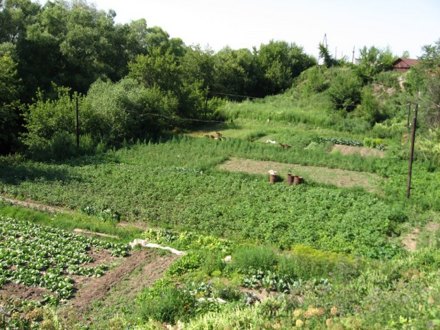 Село Батурино, Рязанская область