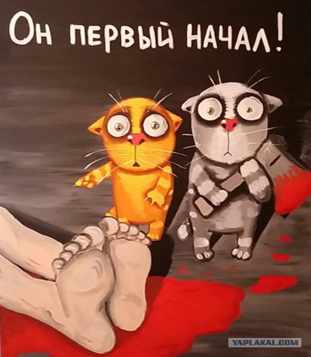Нашел себе кота на свою голову