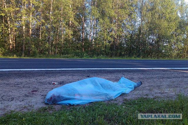 Американский велосипедист погиб в ДТП В Ив. област