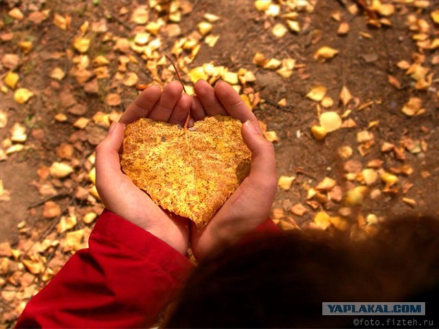 Плюсомет со шпалометом