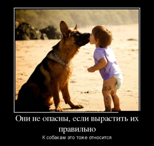 Прикольные картинки на понедельник