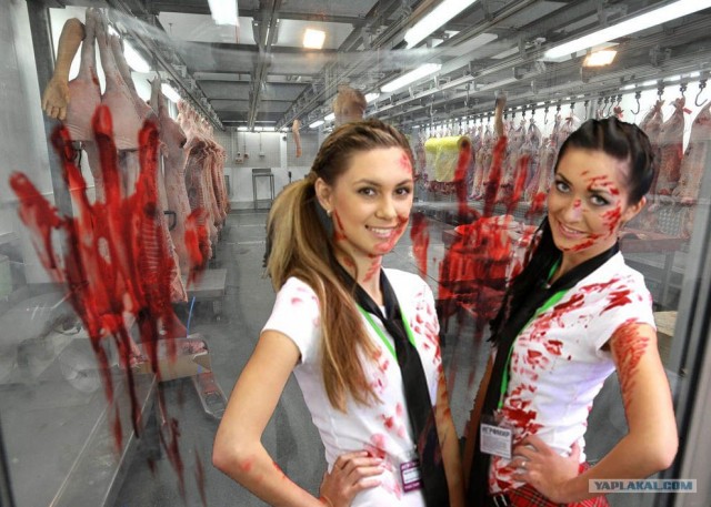 Девушки Игромира