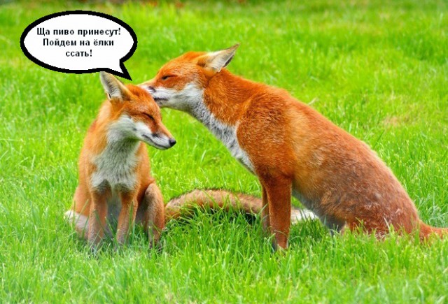 Спорим, вы не знали...