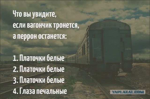 Немного картинок и демотиваторов