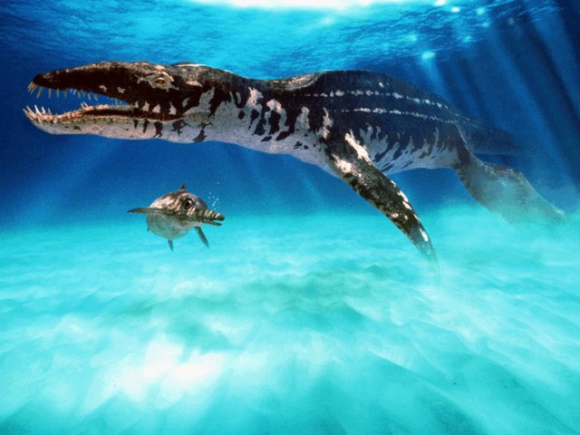Mosasauridae