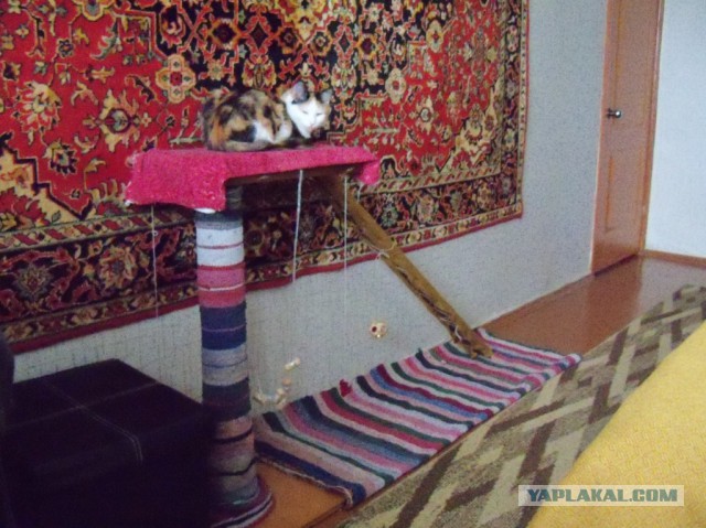 Лежанка для кота