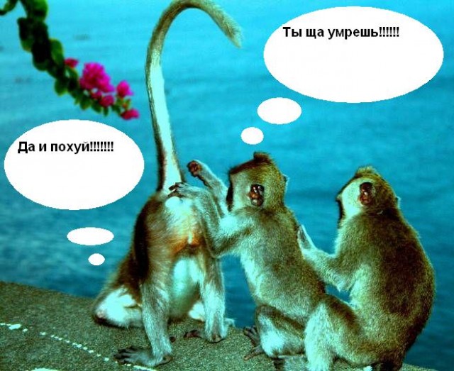 Про погоду: мы все умрем!