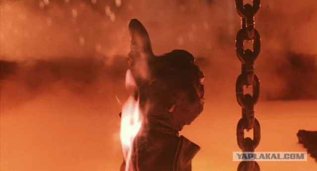 Птиц засасывает вместе с зерном на хлебозаводе