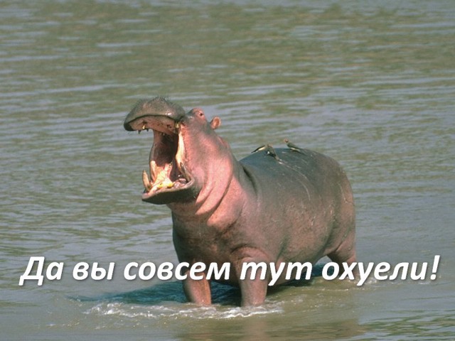 Как выгнать мать ребёнка, чтобы наконец начать жить?
