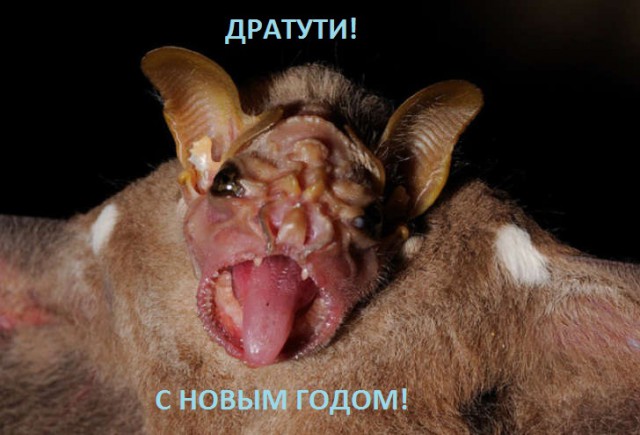 15 самых отвратительных животных, при виде которых вы обязательно скажите “Фууу”.