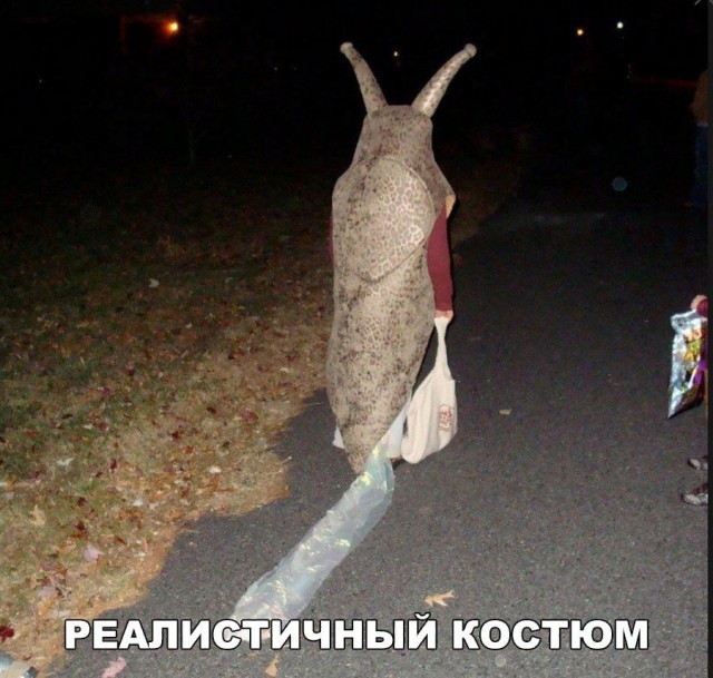 Подборка интересных и веселых картинок
