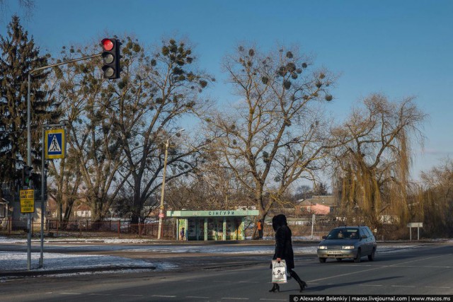 Реальная Украина