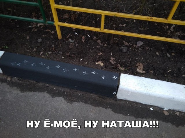 Нестандартный юмор