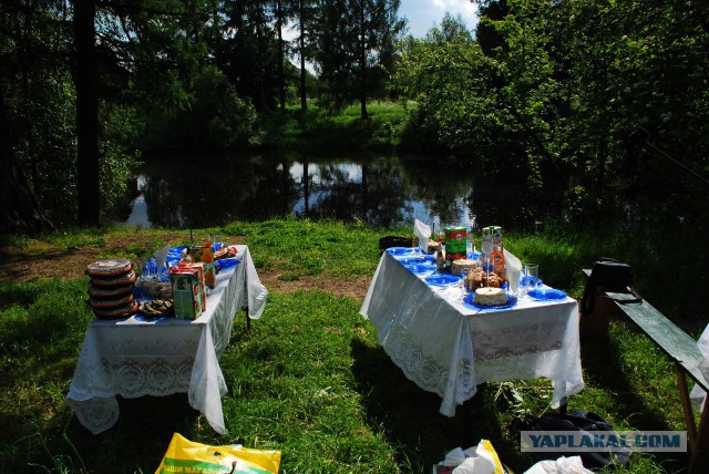 10 ужасных людей, которых можно встретить на свадьбе