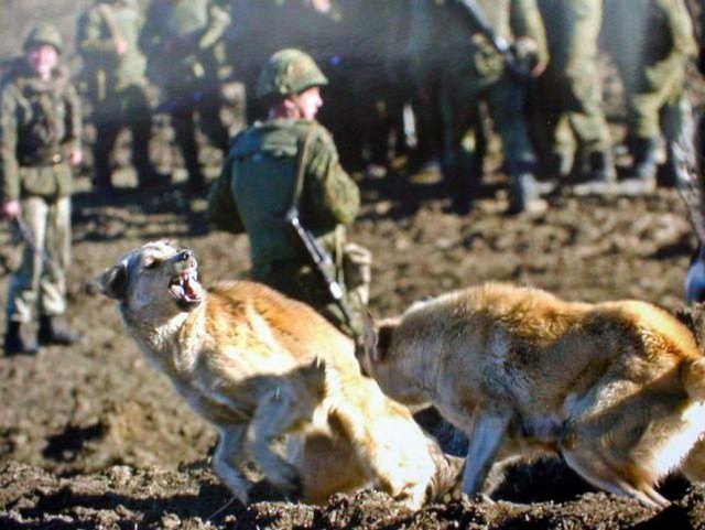 Зачем мы поехали в Чечню