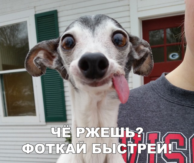 Нестандартный юмор