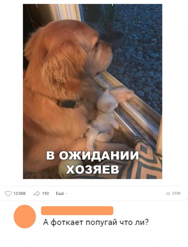 Нестандартный юмор