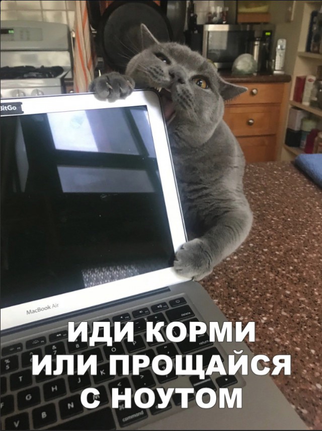 Нестандартный юмор
