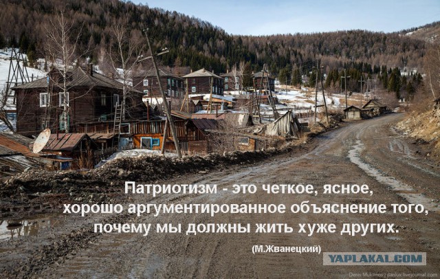 Они говорят, что они не крысы или пост про Патриотизм