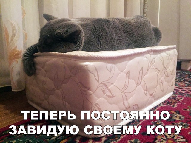 Немного милоты