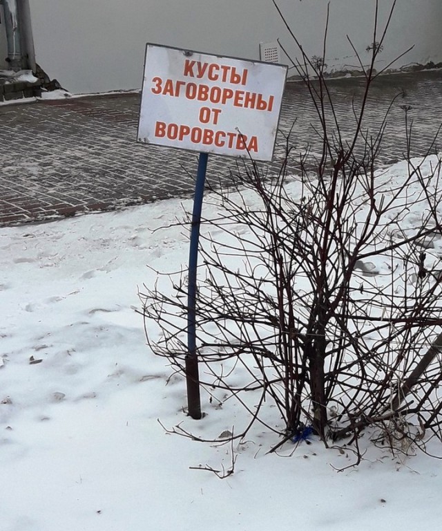 Удивительные снимки с российских просторов 06.01.19