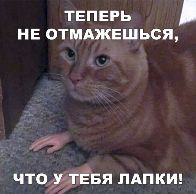 Прикольные картинки абавсём