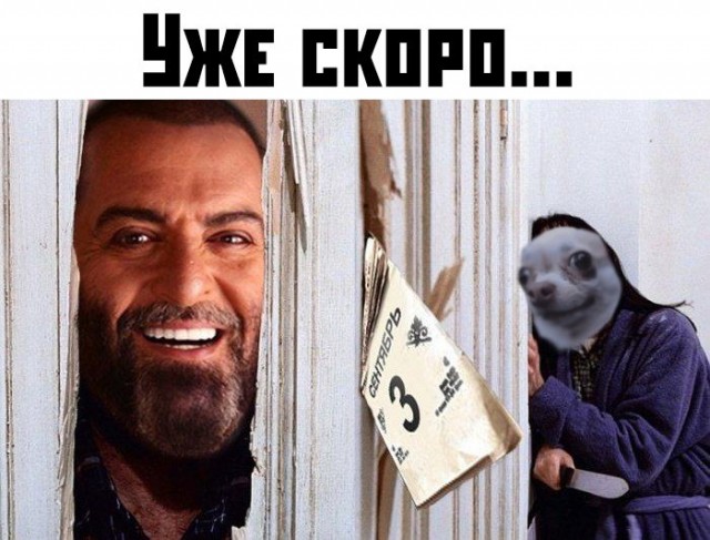 Картинки с надписями, истории и анекдоты 27.08.19