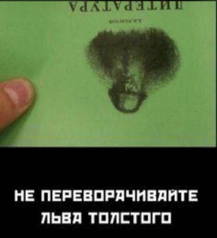 Приколы, на которые нужно взглянуть дважды