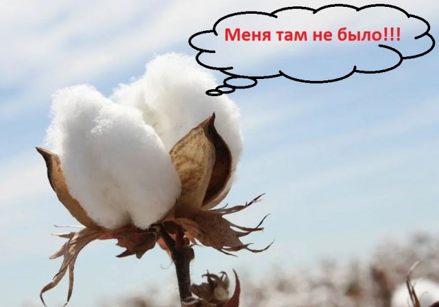 Взрыв газового баллона