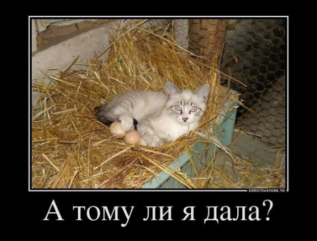 Пара-пара-пам! Фьють. Картинки с надписями.