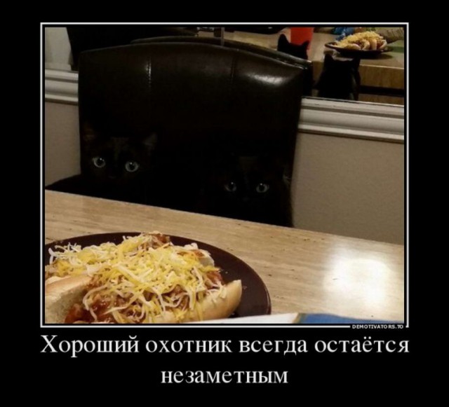 Древние мемы с ВК. Для тех кто забыл #5