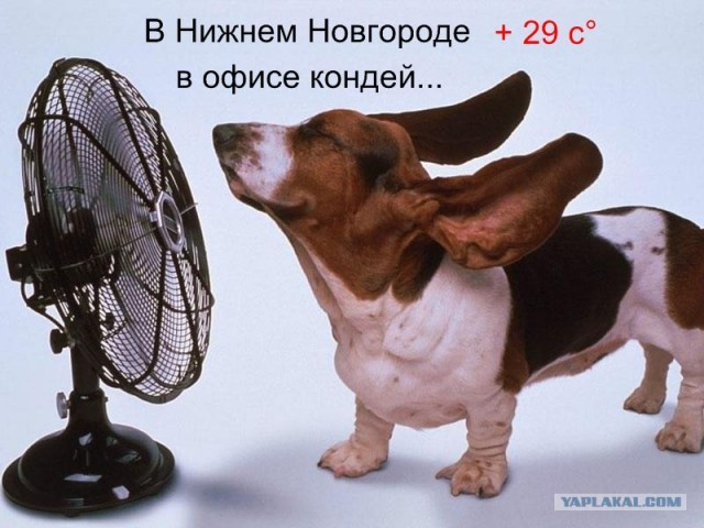 Жара в Москве.