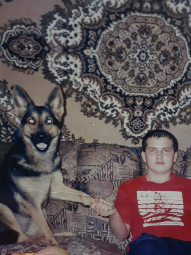Немцы, смешные немцы