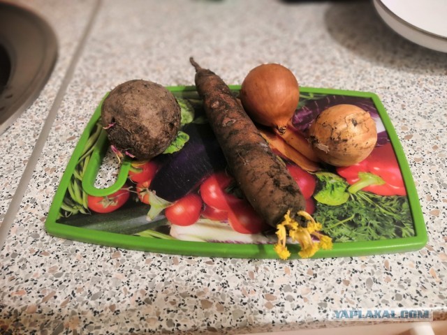 Борщ из утки