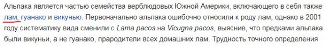Придётся смотреть дважды...