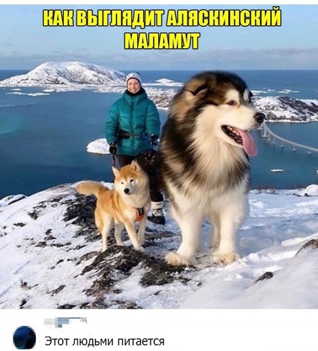Картинки с надписями и всякие жизненные фразы