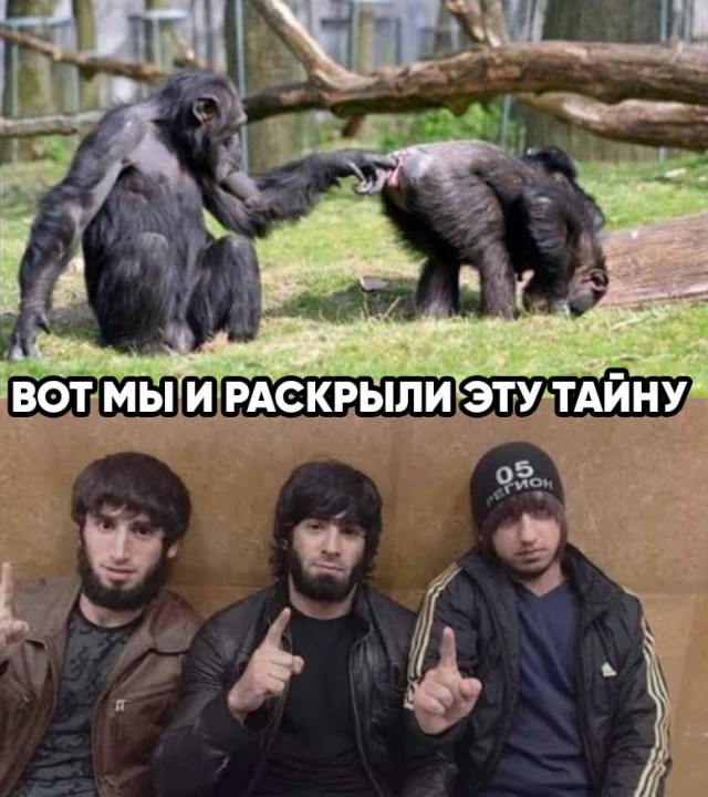 Опять 25, но не 25