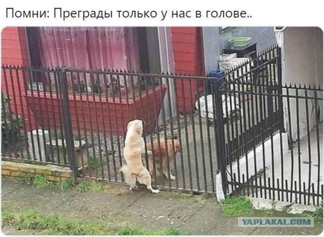Забор спас меня от гопников. Прилетел в Уфу!