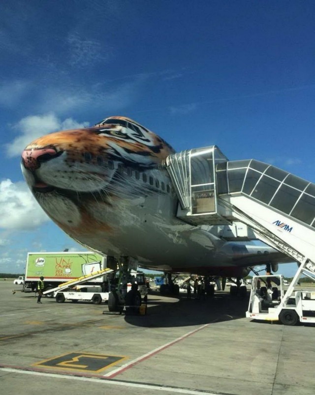 Калейдоскоп картинок