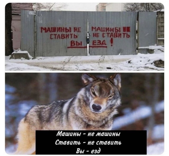 Картинки и мемы для настроения