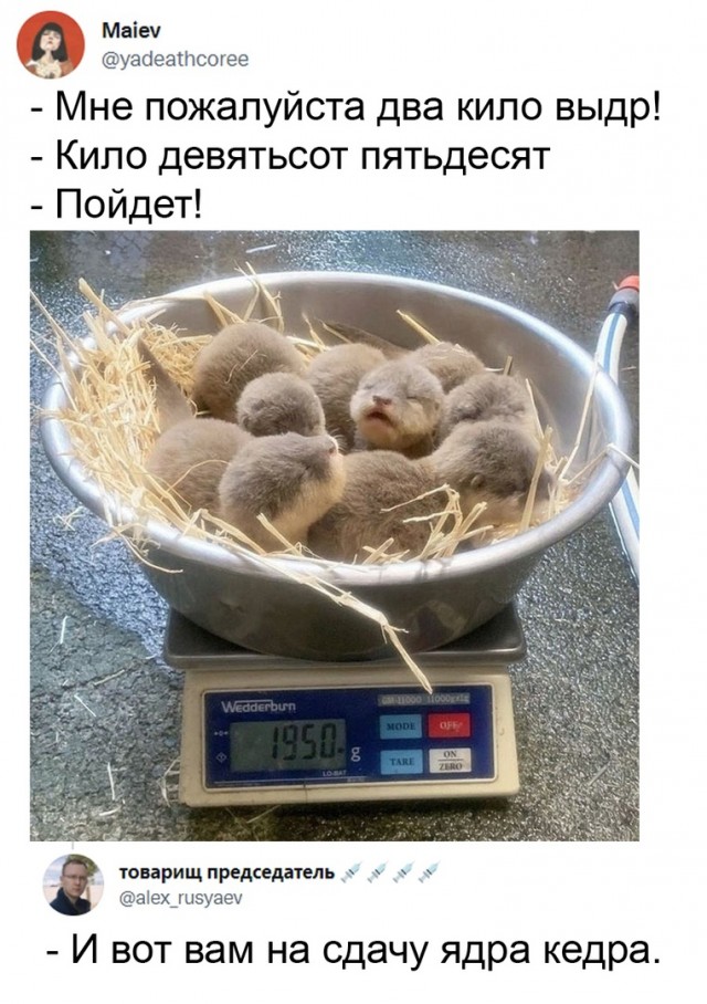 Так себе картинки 27.11.21