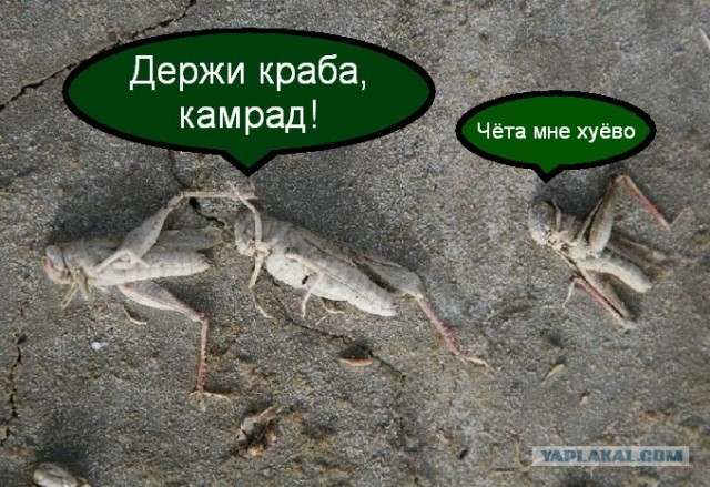 Соляное озеро Баскунчак